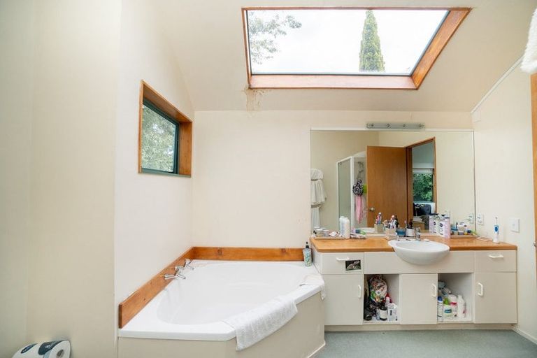 Photo of property in 46 Collingwood Street, Hokowhitu, Palmerston North, 4410