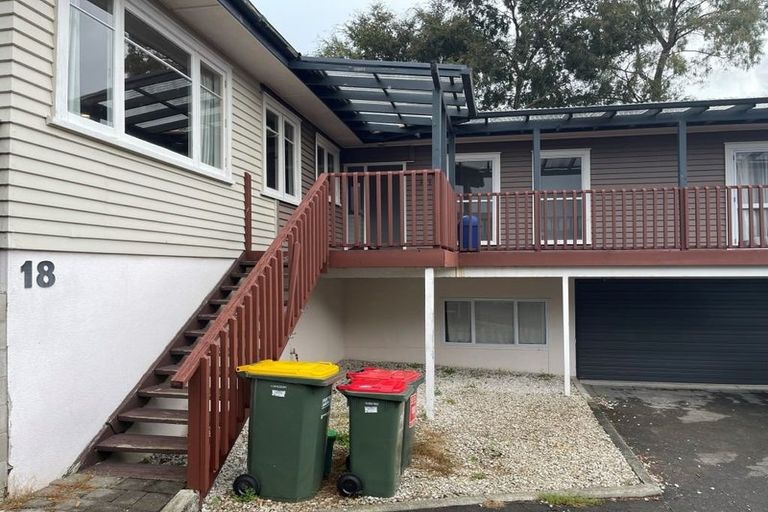 Photo of property in 18 Alison Street, Hamilton Lake, Hamilton, 3204