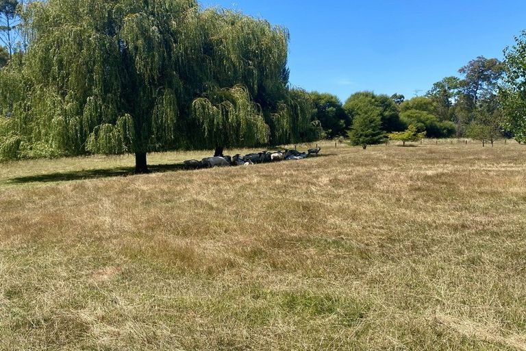 Photo of property in 11 Horton Road, Tasman, Upper Moutere, 7173