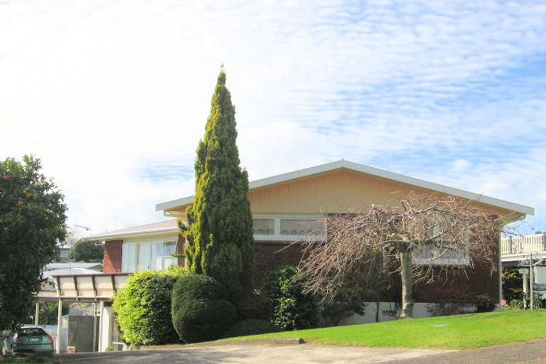 Photo of property in 16 Upland Street, Brookfield, Tauranga, 3110