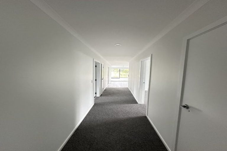 Photo of property in 87 Dunlop Road, Te Puke, 3119