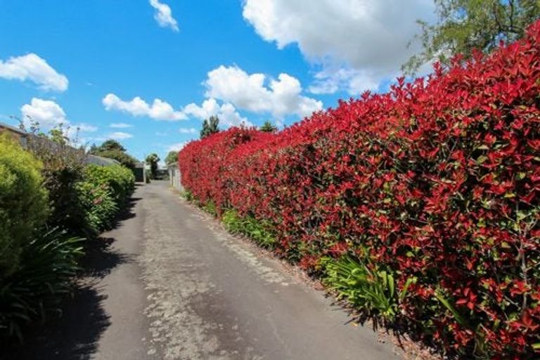 Photo of property in 13a Patricia Avenue, Hamilton East, Hamilton, 3216