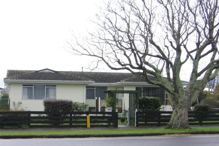 Photo of property in 111 Pahiatua Street, Hokowhitu, Palmerston North, 4410