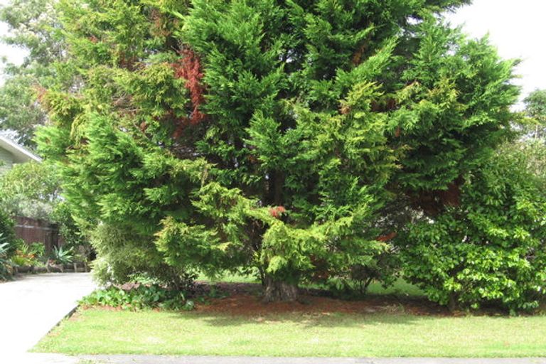 Photo of property in 123a Colwill Road, Massey, Auckland, 0614