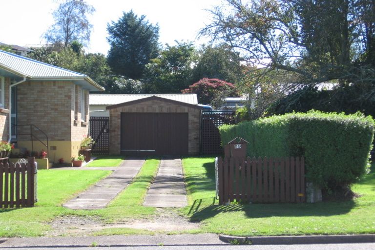 Photo of property in 83 Arapuni Street, Putaruru, 3411