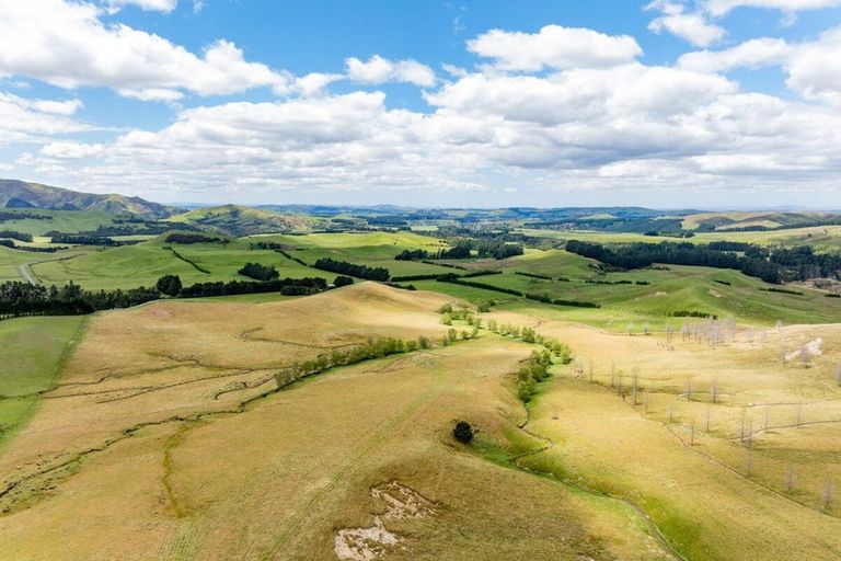 Photo of property in 463 Gull Flat Road, Kereru, Hastings, 4171