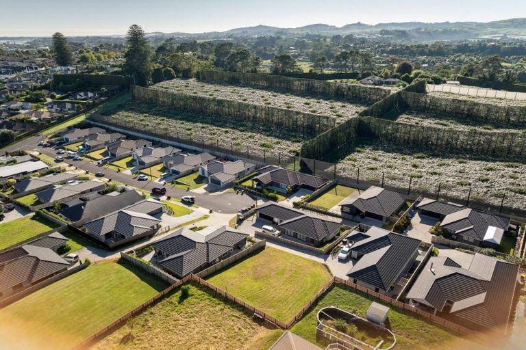 Photo of property in 48 Sharman Place, Pyes Pa, Tauranga, 3112