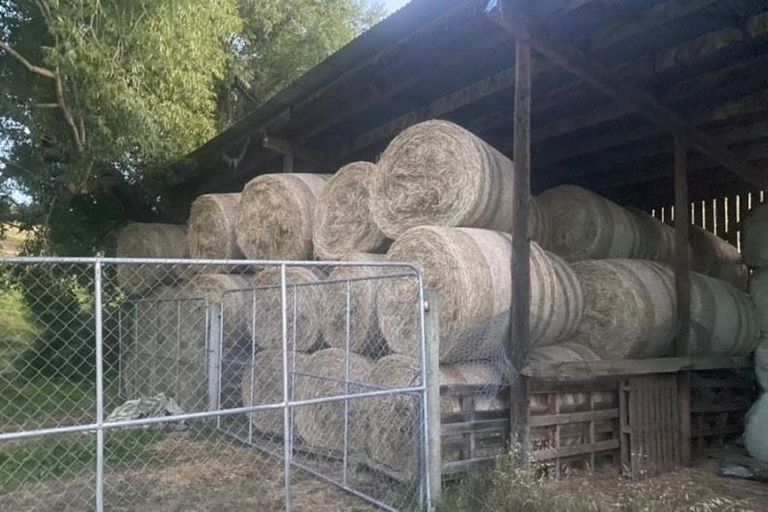 Photo of property in 554 Carrs Road, Loburn, Rangiora, 7472