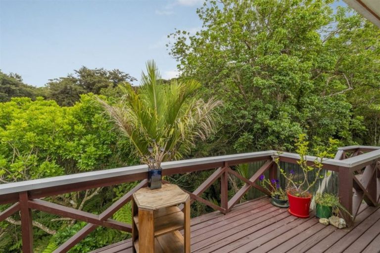 Photo of property in 23 Punga Place, Whitianga, 3510