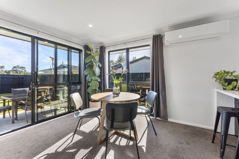 Photo of property in 68 Hinemoa Street, Levin, 5510