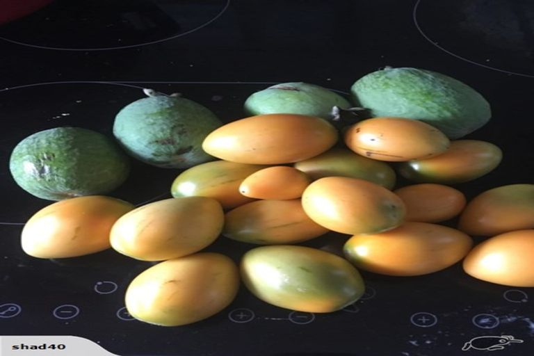 Photo of property in 70 Westhead Road, Pollok, Waiuku, 2683