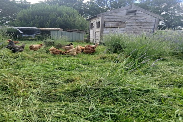 Photo of property in 970 State Highway 3, Kai Iwi, Whanganui, 4574