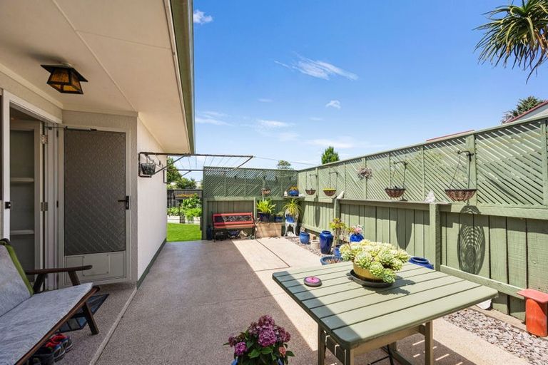 Photo of property in 1/38 Douglas Mclean Avenue, Marewa, Napier, 4110