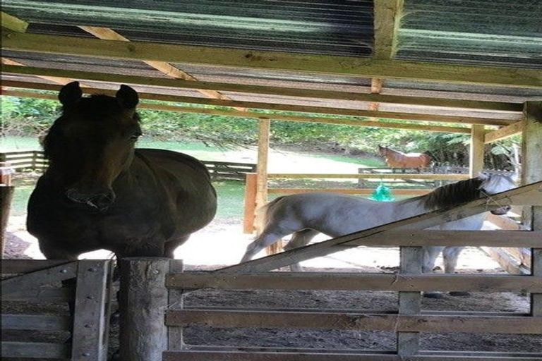 Photo of property in 104 Hillcrest Road, Kaikohe, 0405