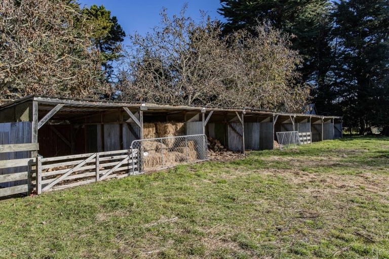 Photo of property in 501 Pesters Road, West Eyreton, Rangiora, 7475