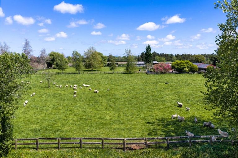 Photo of property in 542 Kaipaki Road, Ohaupo, 3881