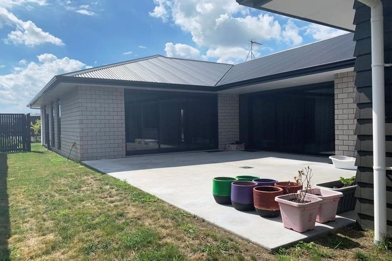 Photo of property in 41 Lulu Avenue, Chartwell, Hamilton, 3210