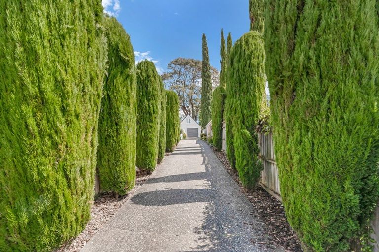 Photo of property in 31b William Bond Street, Stanley Point, Auckland, 0624