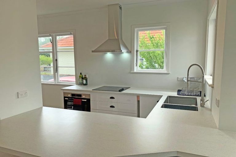 Photo of property in 17 Ihle Street, Terrace End, Palmerston North, 4410