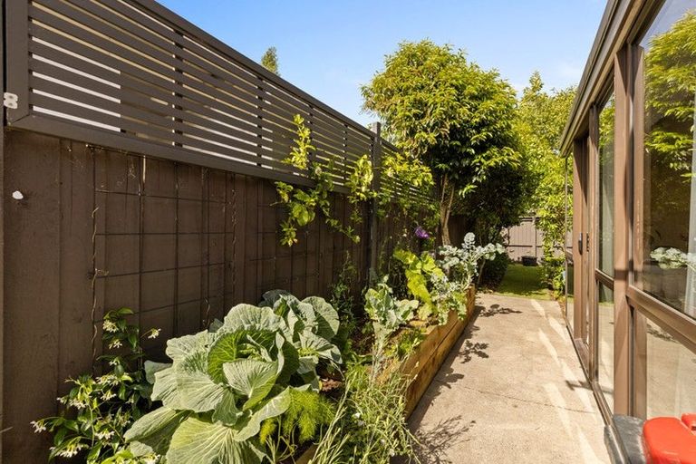 Photo of property in 1/19 Trafalgar Street, St Albans, Christchurch, 8014