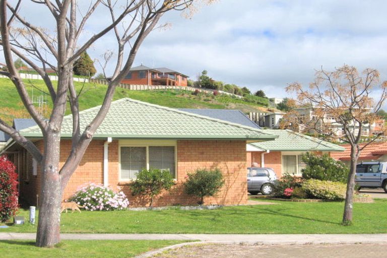 Photo of property in 244 Castlewold Drive, Bethlehem, Tauranga, 3110