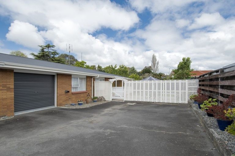 Photo of property in 11b Balmoral Terrace, Otumoetai, Tauranga, 3110
