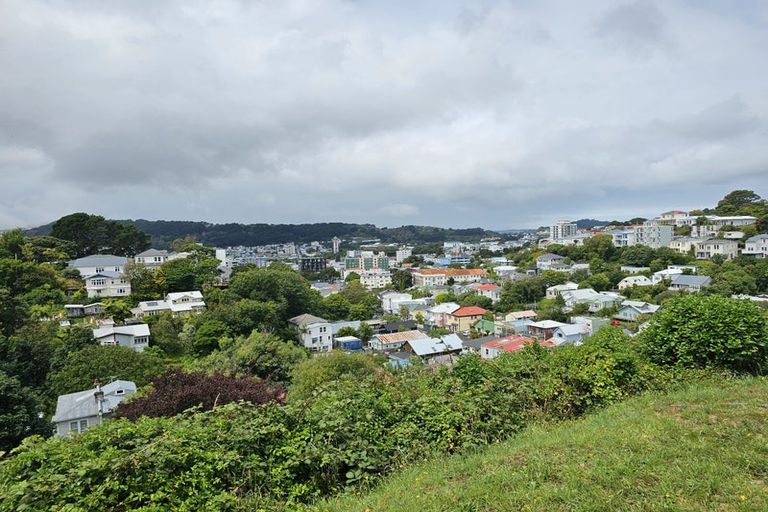 Photo of property in 14 Essex Street, Aro Valley, Wellington, 6021