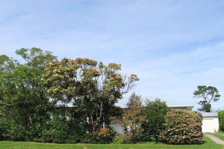 Photo of property in 11 Grundy Street, Mangapapa, Gisborne, 4010