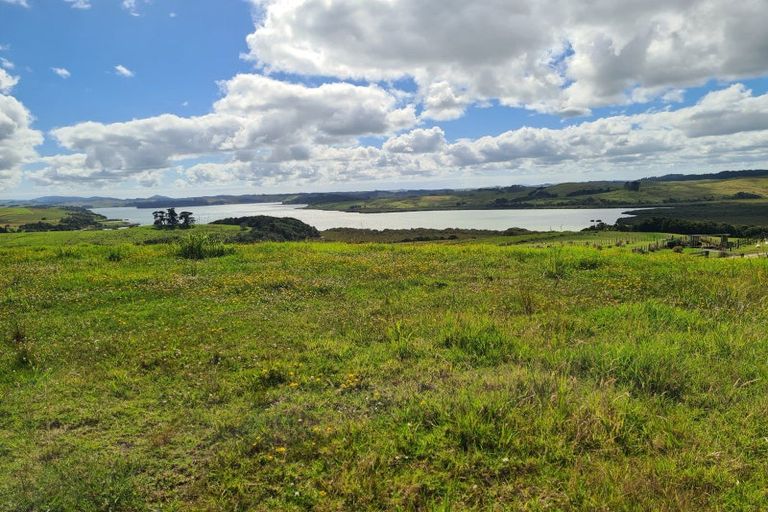 Photo of property in 304 Arapaoa Road, Tinopai, Matakohe, 0593