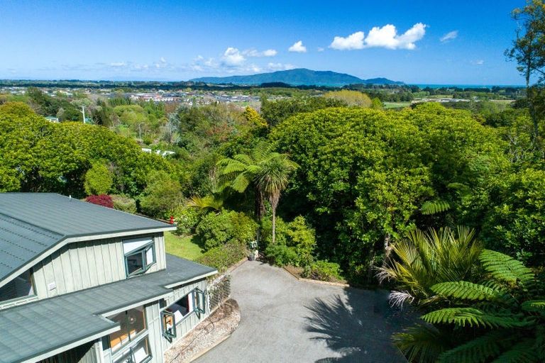 Photo of property in 101 Huia Street, Waikanae, 5391