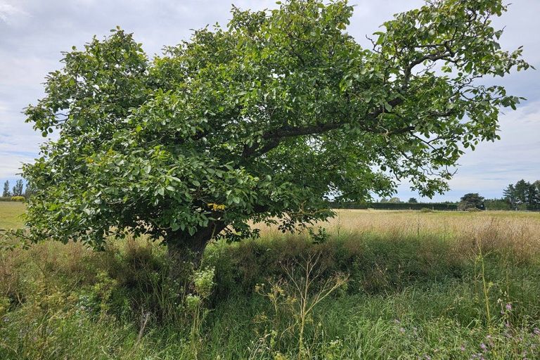 Photo of property in 2799 Tram Road, West Eyreton, 7475