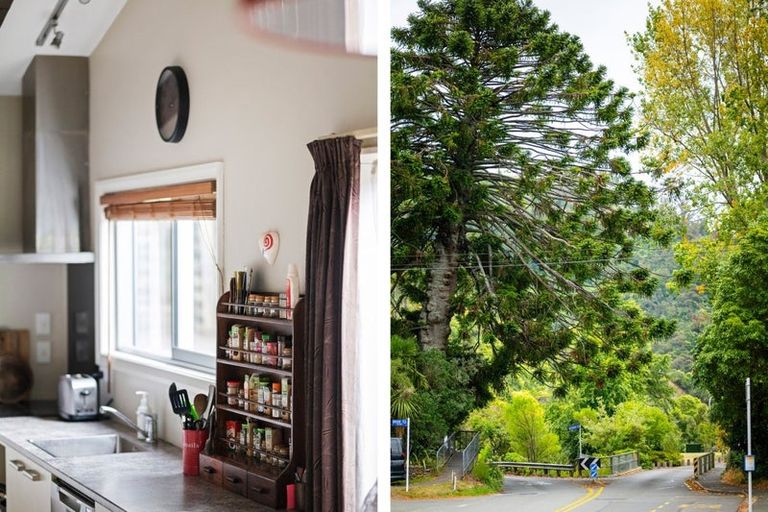 Photo of property in 206 Brook Street, The Brook, Nelson, 7010