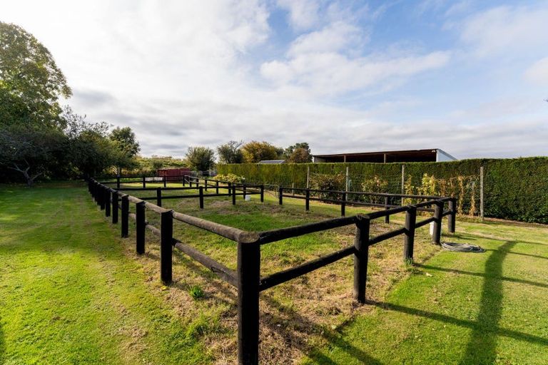 Photo of property in 522 Allanton Road, Outram, 9073