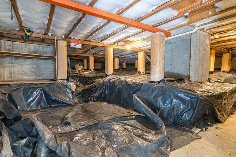 Photo of property in 10 Kinmont Crescent, Kinmont Park, Mosgiel, 9024