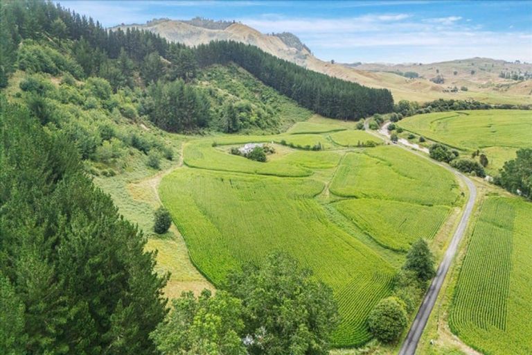 Photo of property in 280 Kaitaringa Road, Aria, Te Kuiti, 3981