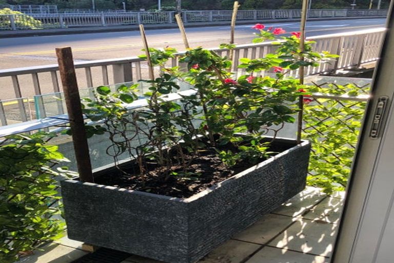 Photo of property in Montreaux, 164 The Terrace, Wellington Central, Wellington, 6011