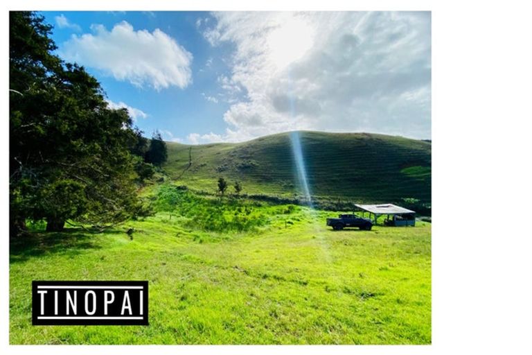 Photo of property in 1509 Tinopai Road, Tinopai, Matakohe, 0593