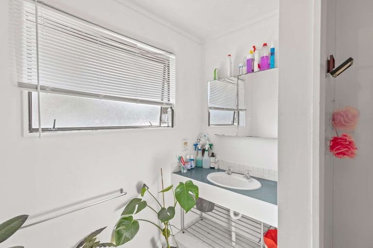 Photo of property in 9a Limbrick Street, Terrace End, Palmerston North, 4410