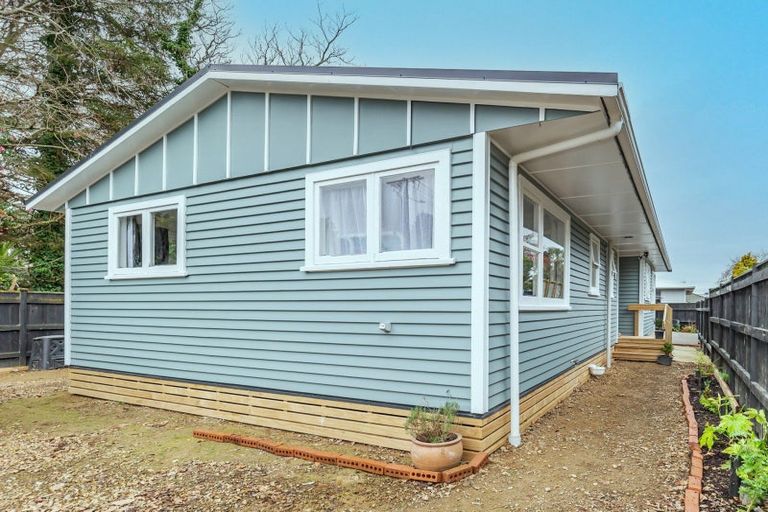 Photo of property in 81 Macarthur Street, Levin, 5510