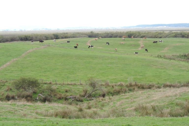 Photo of property in 669 Island Block Road, Island Block, Te Kauwhata, 3782