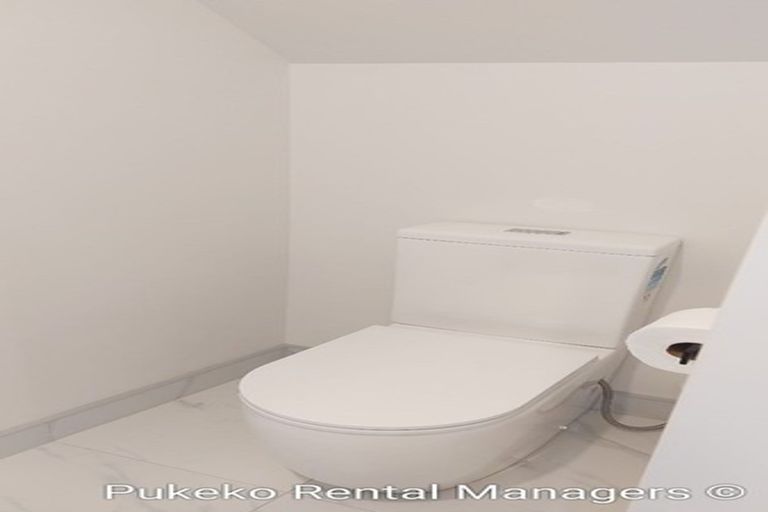 Photo of property in 17 Hearth Street, Flat Bush, Auckland, 2019