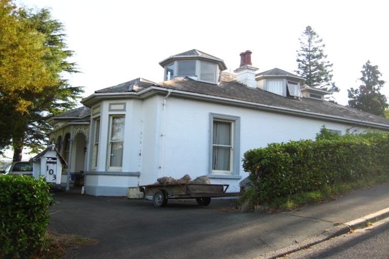 Photo of property in 103 Buccleugh Street, North East Valley, Dunedin, 9010