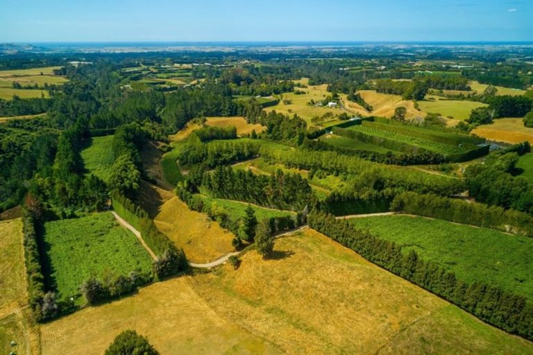 Photo of property in 866 No 2 Road, Te Ranga, Te Puke, 3182