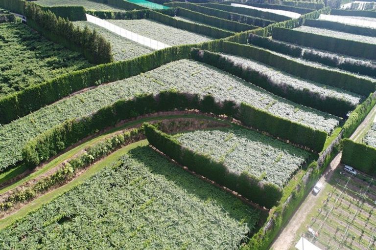 Photo of property in 84 Jensen Road, Omanawa, Tauranga, 3171