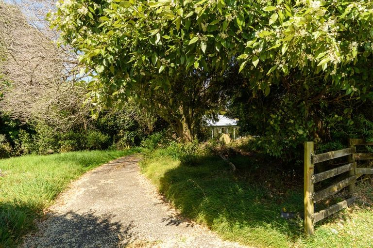 Photo of property in 807 Whakamarama Road, Whakamarama, Tauranga, 3179