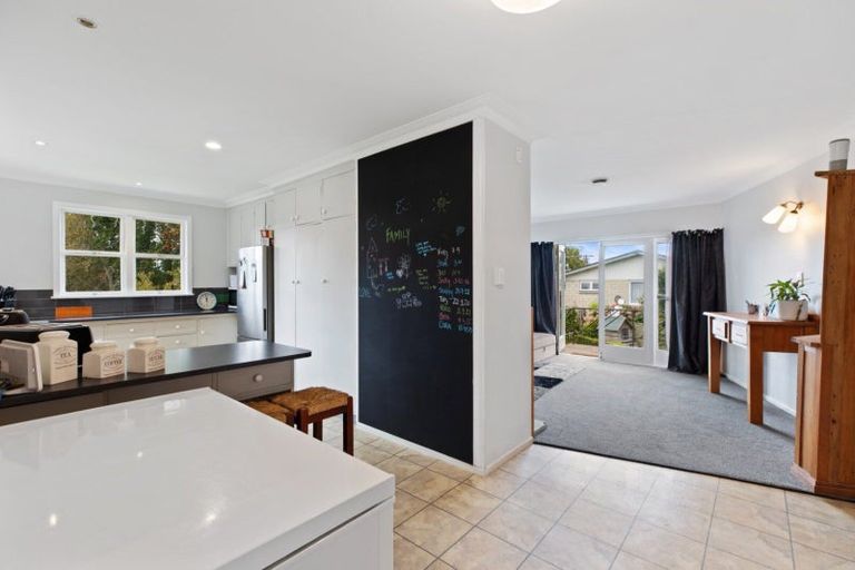 Photo of property in 23 Paine Street, Judea, Tauranga, 3110