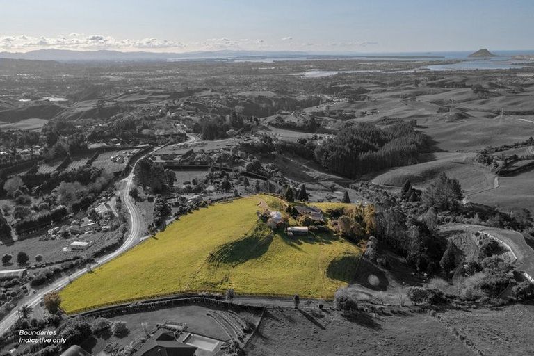 Photo of property in 565c Upper Ohauiti Road, Ohauiti, Tauranga, 3173