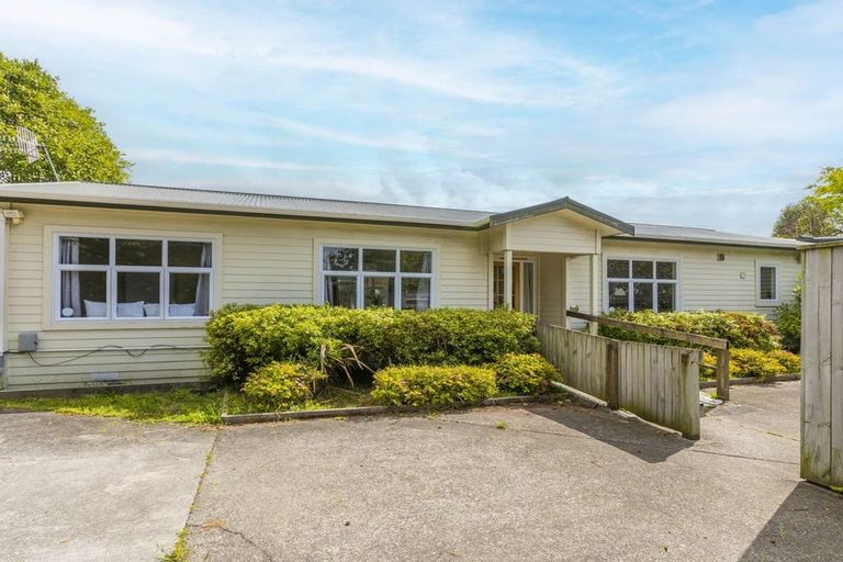 Photo of property in 84 Amohia Street, Paraparaumu, 5032