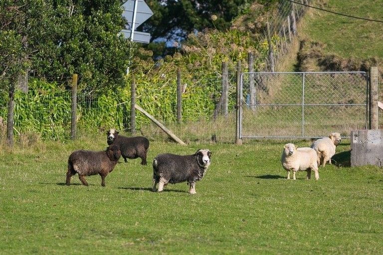 Photo of property in 568 Mangorei Road, Mangorei, New Plymouth, 4371