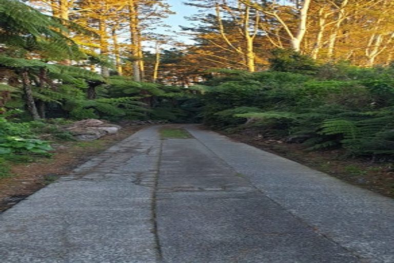 Photo of property in 1226a Pyes Pa Road, Pyes Pa, Tauranga, 3173